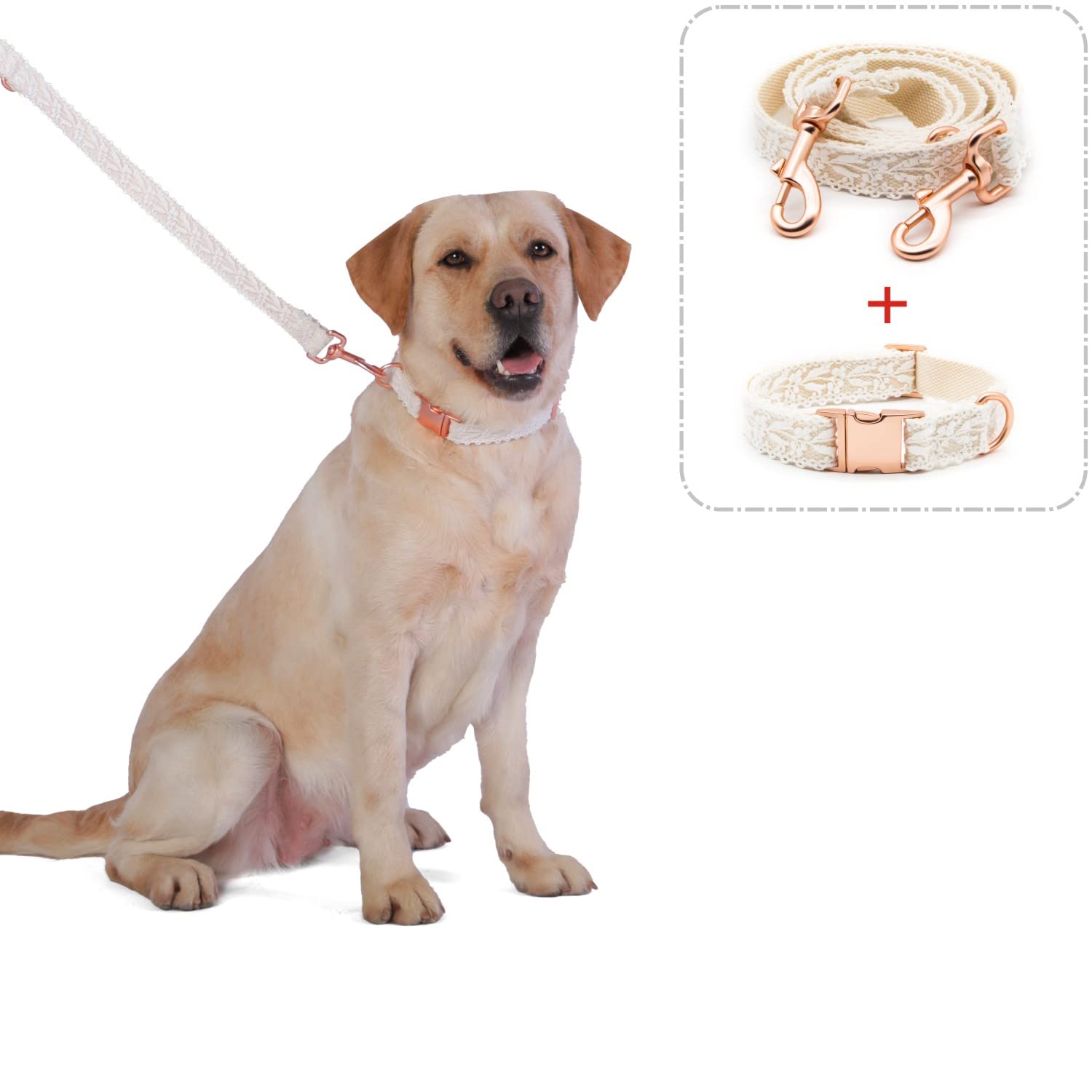 Amazon | LEKAIGO 犬の首輪とリーシュセット コットンレース